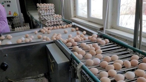 ����� ������ ������������ ����������� ��������� ��������� � ������� 285 ����� ���