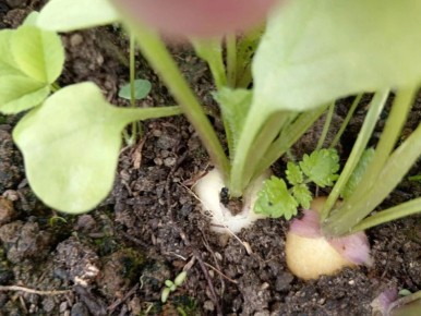 ����������� ���������: ����� ����� �� ����� ������ ����� � ���� ����?