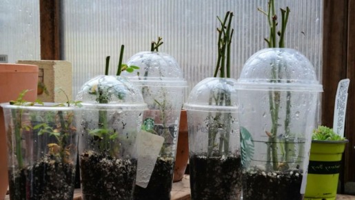 ��� ������� ��������� ���� � ������� � ������ �������: ���� ����������� �������