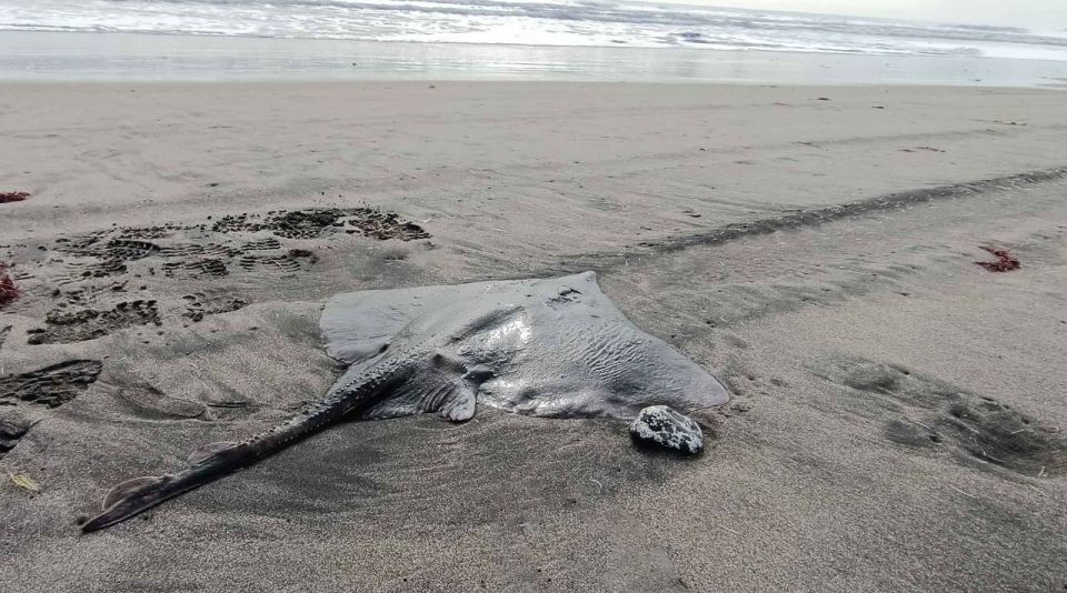 ������������ �� ����� ��������� ����� ������ �� �������