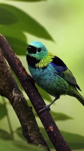 ������ ����!. ������� ���� ������� � ������ � ���� ���� �������� �������� ����� ���������� (1937 � 2010), ������ ��������� ��������� (1964), ������ ����� ��������� (1988), ����� ������������ (1979) � ������ ����� (1952)