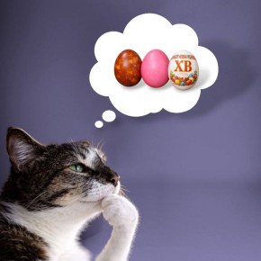 ������� �� �� ���� �� �����?