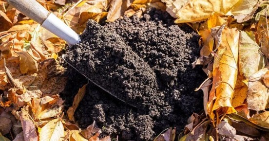 ���� � ������� ����������: ���� � �����, ������� ����� �����