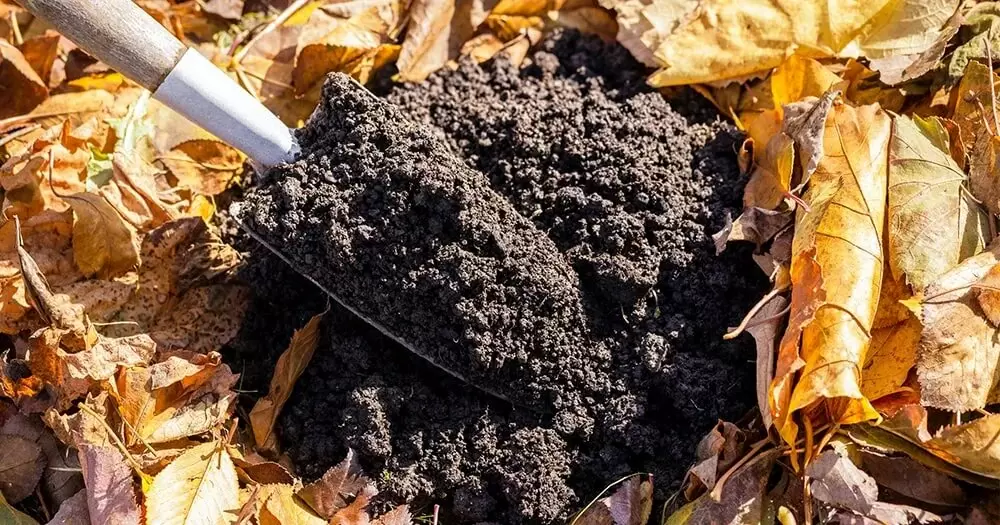 Азот в осенних удобрениях: мифы и факты, которые стоит знать