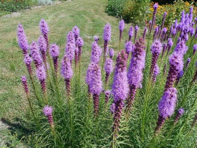 ���������� �����: ��� ��� ����� ��������� �������� ������ ����