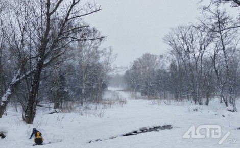 ���������� ����� �� ���������� ���������� - ��������� � ������ �� ��� �������� 12 ������