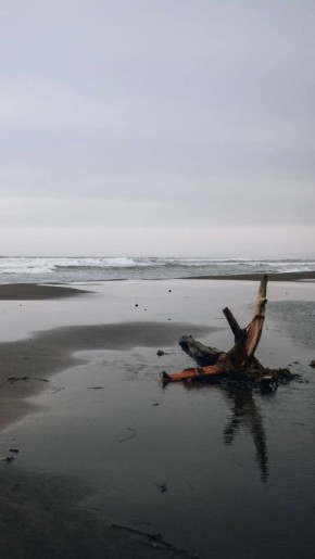 �������������, �������, ����, �������