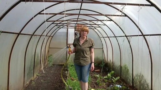 ������� ������������: ��������� ����� ������������� � ��������