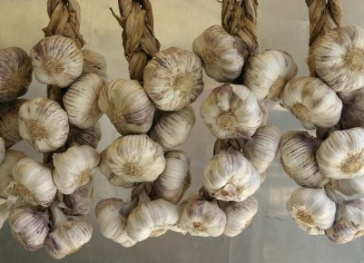 ��� ��������� �������� ������ �������: ������� �������� ���������