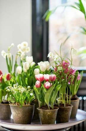 ��������� ������� ���������: ��� �������� ������������ �������� � 8 �����