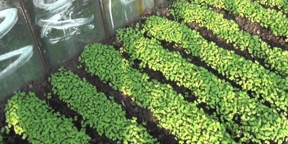 ��� ������� �������� ��� ������ ��� ������ ������