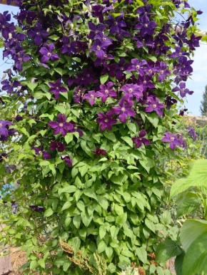 ������������ ����������: ��� ������� ����� ����������� ��������� ������������