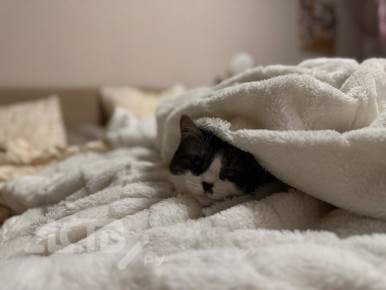 Горячую воду и отопление на время отключат у некоторых южносахалинцев 14 апреля