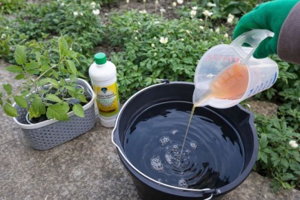 ������������ ������ �����: ��� ������� ��� ������ ����