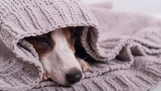 Отопление и горячую воду отключат на нескольких улицах Южно-Сахалинска 14 апреля