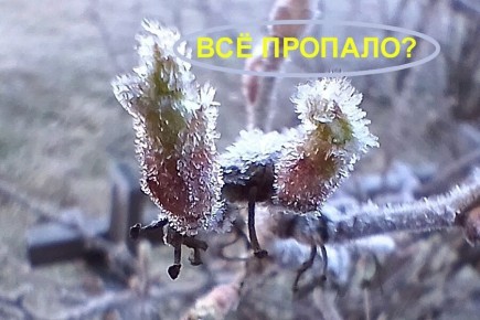 ��� ����� ������� �� ���������: �� ��� �������� ����� ��������� ��������� ���������