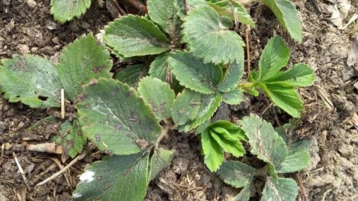 �������� ���� �� ���������: ������� �������� ��������� � �����