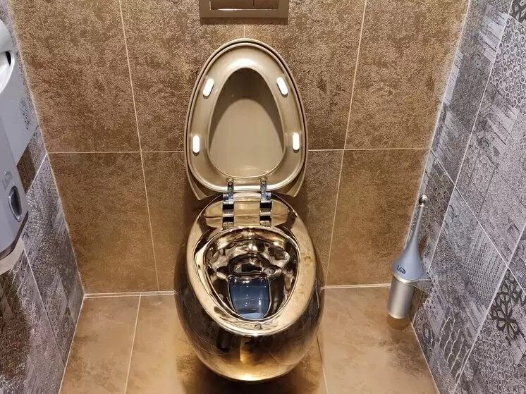 Петербургские эксперты предостерегают: что нельзя смывать в унитаз