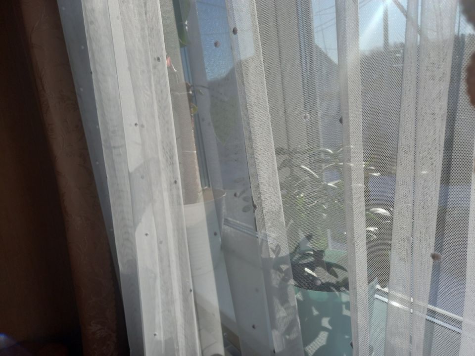 ��� ���������� �� ����: ���� ������� ��������� ���������