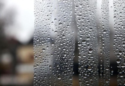 ������ �� ����� ���������� ��������� � ��� � ��� ��������