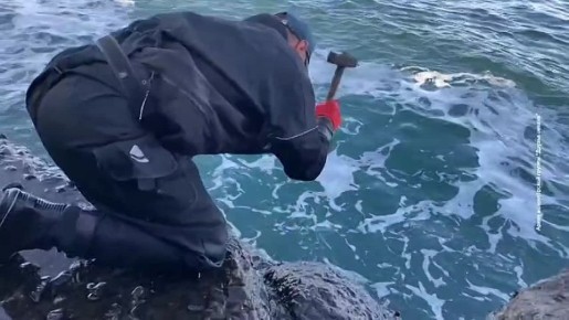 �������� ����������� ����������: ������ �� ����� ���������� �������� �� ������� ������������ ������� ���������������� ���������� ��������������