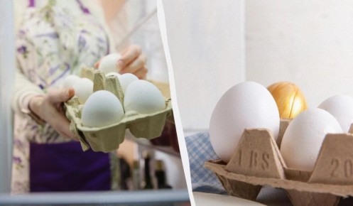 ��� ��������� �������� ��� �� ������: ������� �� ���������