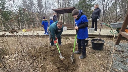 ������� ������ � ������������ ���� ����-���������� ������� ����������� � ������ ������������� ����� ��� �� �������