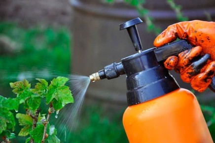 ����� ������ ��������� ������������, �� ������� ����������: ���� ������� ������