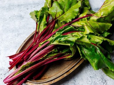 ������� ���������� �����: ��� ������� �������� �� �������� ������ � ������ �������