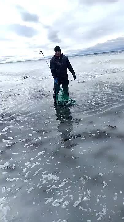 �� �������� ����� �������. �����, � ���������, � ��������� � ������ ��������