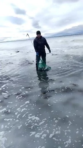 �� �������� ����� �������. �����, � ���������, � ��������� � ������ ��������