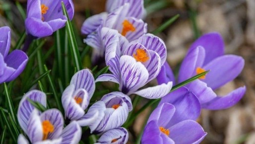 �������� ����� � ����������