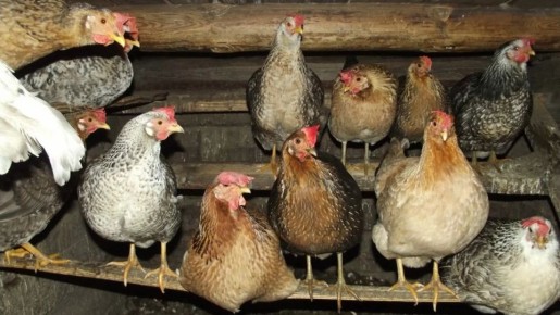 ������������� ����� � �����: ����������� ������ ���������� ��� �����