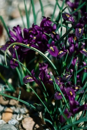 ����� �������� ������ �� ������ ����-����������