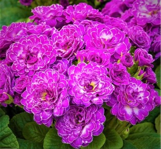 ���������� �������� ������: ������������� �����, ������� ����� ����������