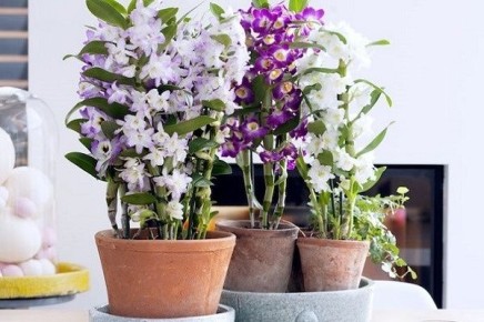 ����������: ������� ��������� ����� �� ���������