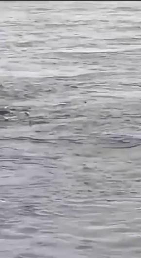 ������� ������� ������� � ��������� ������� ��������� � ������� �������