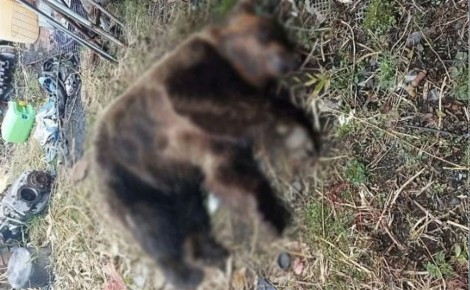 �� ������� ���������� �������, ����� �� ������ ��� �������� � ����