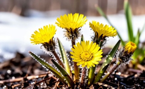 �� �������� �������, � �� ������� ��������� ���������: ������� ������ ��� ������� �� 24 ������