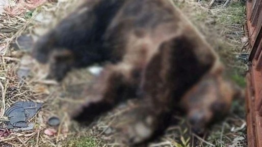 �������, ���������� �� ���� ������ �� �������, ���������� ��� ��������� ������