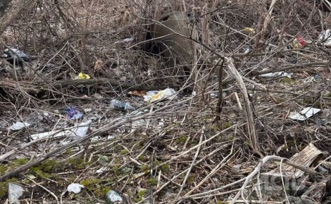 ����������� �� ������ "����� ������������ ������ ������" ����� � ����-����������