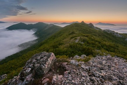 ��������� �������� ����-���������� ��������� ������� � �������������� �� ������ � ������ ������