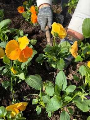 �������� ����������: � �������� ������ ���������� ���������� �����