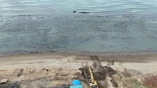 � ���� �������� ���������� � �������� ����� ������