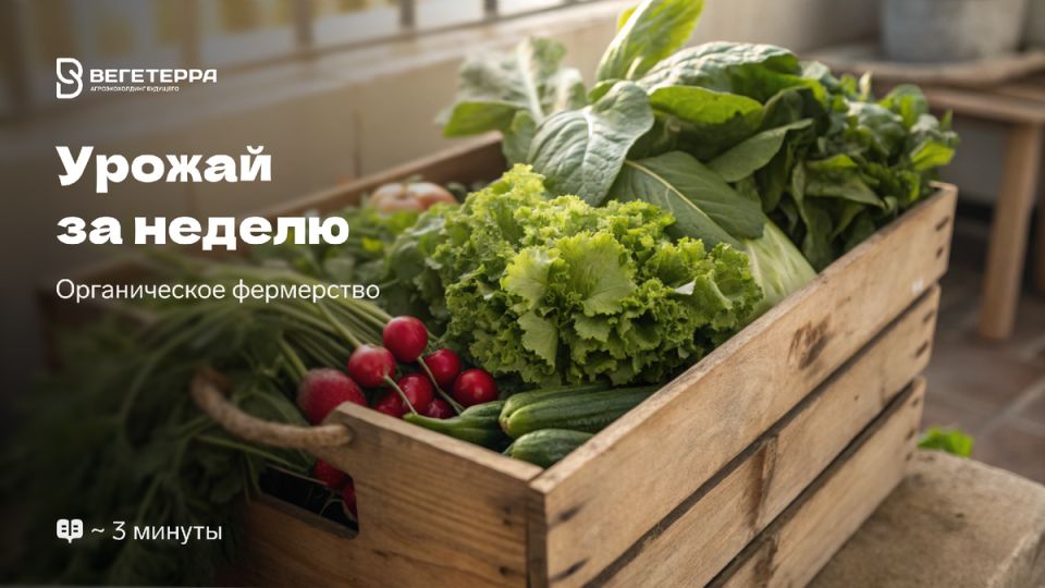 ������� �������� ������: ����� ����� ������ �� ������