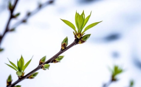 �� +10�, ��������� �����, �� ��� ��������: ������ �� ��������� ������ �� �������� � �������