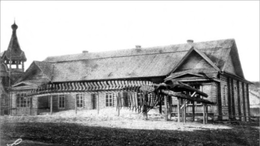 ��������� �������: ����� �� �������� � ������� �������� 130-������ ������