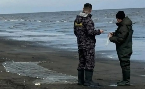 ���������� ���������� ������ ����������� �� �������� ������ ����