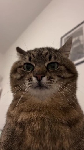 ������ ����, ������� � ������