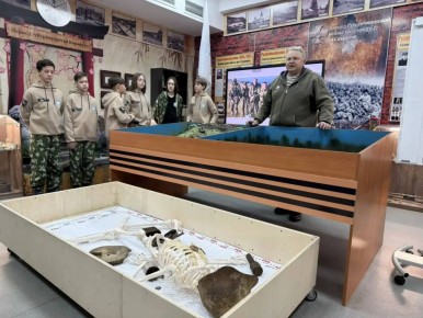 ���������� �������� ��������� ������� ����� �� �������������� ��������� ��������� ������� ���� ����-���������� �� ������ �������� ��������� �������